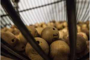 Can I Effectively Predict Lottery Numbers