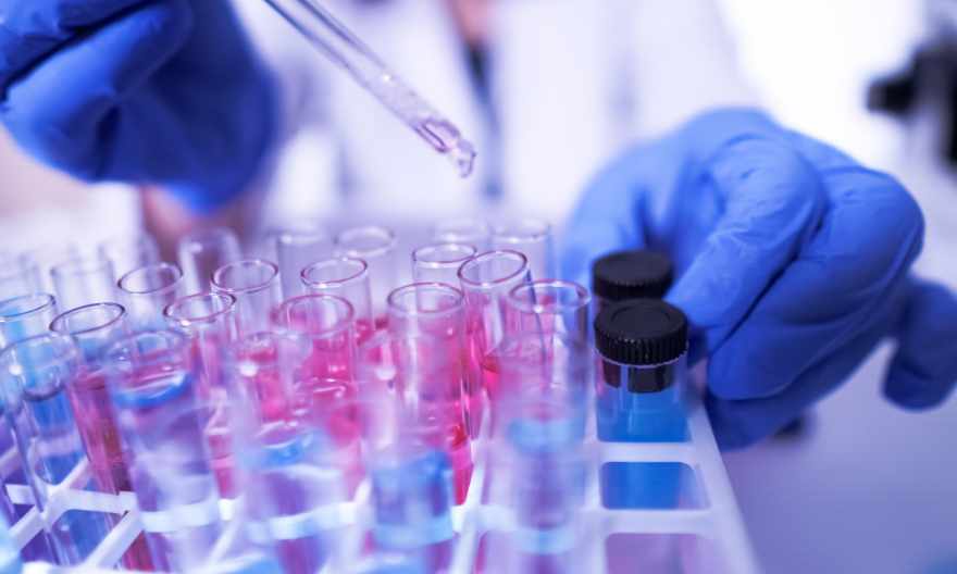 Lab For DNA Testing