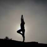 the Yoga Certification