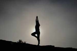 the Yoga Certification
