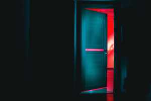 Bifolding Doors