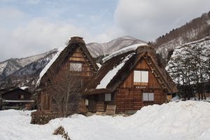 Home for Winter