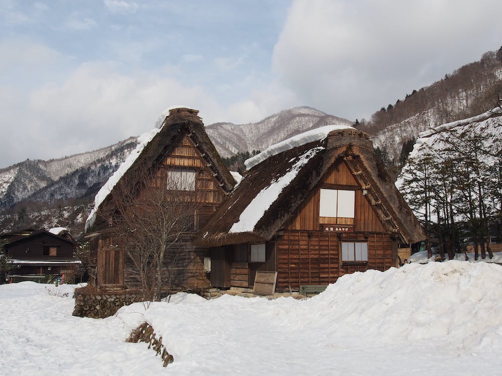 Home for Winter