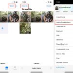 What is an Album? | How to Create a Shared Album?