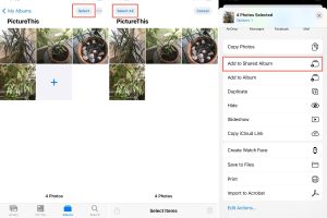 What is an Album? | How to Create a Shared Album?