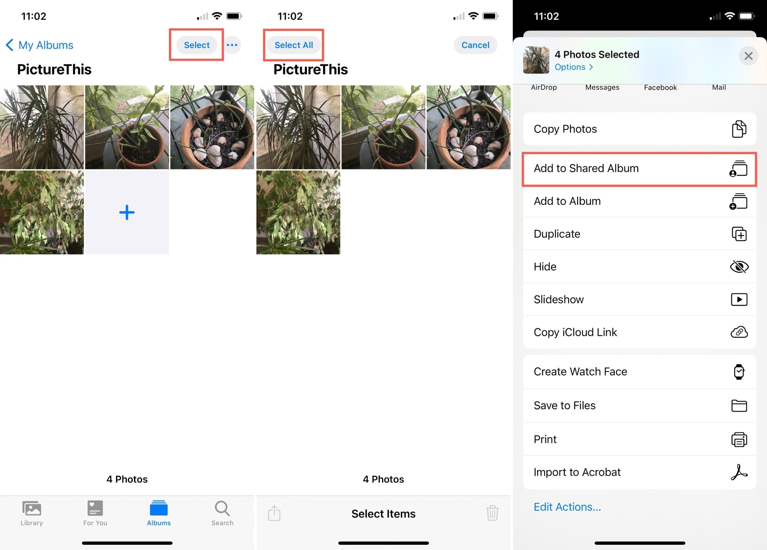 What is an Album? | How to Create a Shared Album?